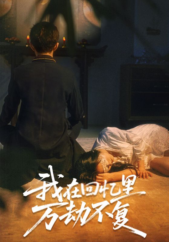 我在回忆里万劫不复